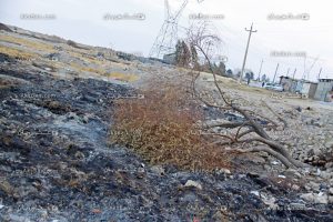 خودسوزی زمین در رورستای اسلاملو 1