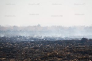 زمین‌های روستای اسلاملو در منطقه‌ی سلطان‌آباد ِ شیراز که درچار خودسوزی شده‌اند