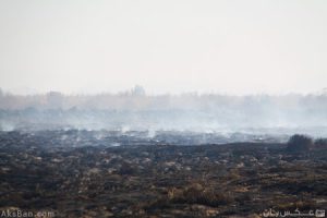 زمین‌های روستای اسلاملو در منطقه‌ی سلطان‌آباد ِ شیراز که درچار خودسوزی شده‌اند