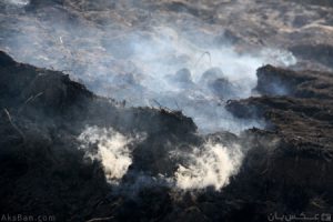 این خاک است که می‌سوزد