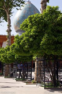 حرم مطهر شاه‌چراغ علیه‌السلام نیز عطرآگین می‌شود با عطر بهار نارنج‌ها بهار نارنج