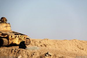 نسل زنده نسل زنده