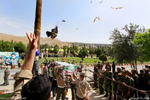 سعادت پرواز سعادت پرواز