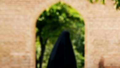 بهار حجاب بهار, بهار نارنج, چادر, حافظیه, حجاب, دیوار, زن, زن ایرانی, شکوفه, عفاف, نارنج بهار حجاب بهار, بهار نارنج, چادر, حافظیه, حجاب, دیوار, زن, زن ایرانی, شکوفه, عفاف, نارنج