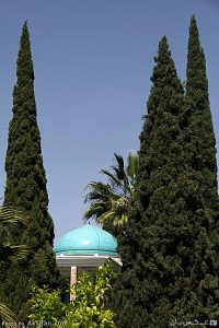 نگین نگین