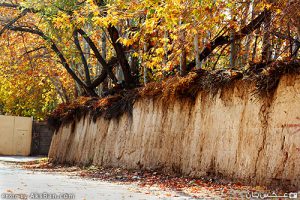 کوچه‌های خاطره آذین پاییزی