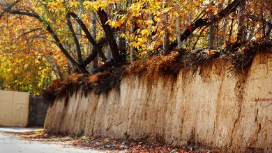 آذین پاییزی عکسنوشت آذین پاییزی عکسنوشت