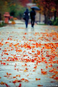 هوای دو نفره هوای دو نفره