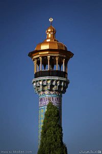 سرو آسمان‌ها سرو آسمان‌ها