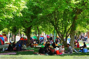 IMG_9270 روز طبیعت در شیراز