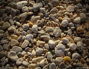 جای پای آب جای پای آب